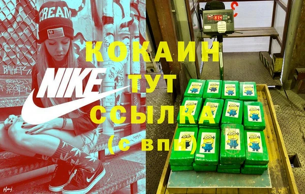 мет Ладушкин