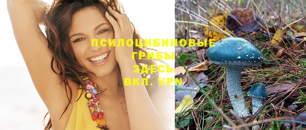 ПСИЛОЦИБИНОВЫЕ ГРИБЫ Лагань