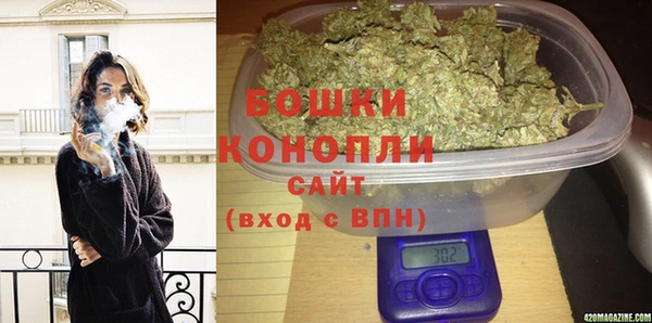 ПСИЛОЦИБИНОВЫЕ ГРИБЫ Лагань