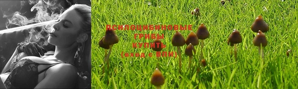 ПСИЛОЦИБИНОВЫЕ ГРИБЫ Лагань