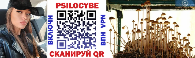 Галлюциногенные грибы Cubensis  Малаховка 